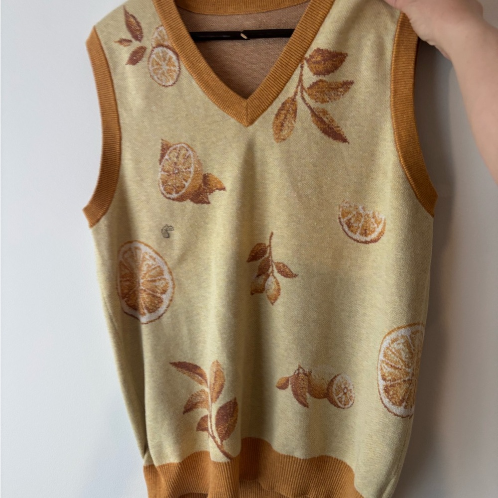 Lemon sweater vest from Love With Pride (retired) fits like a large